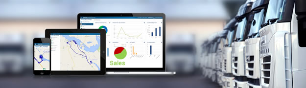 Ways HowWays How Fleet management impacts sales? Fleet management impacts sales?